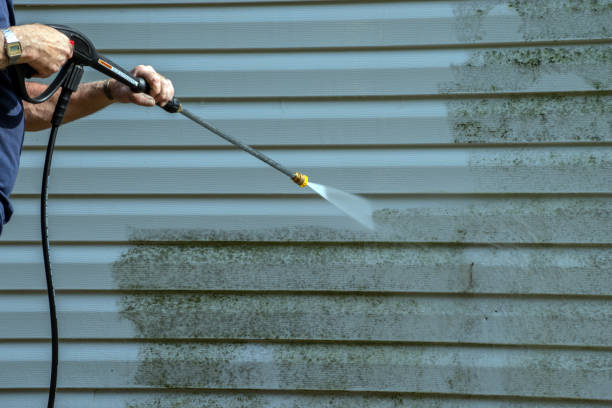 Best House Exterior Washing  in Pocomoke City, MD