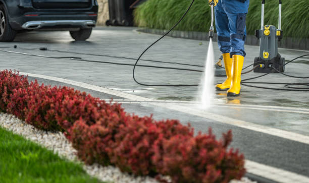 Best Building Exterior Washing  in Pocomoke City, MD